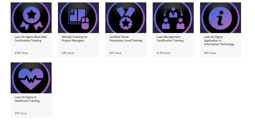 Lean Six Sigma Black Belt Master Certification Bundle