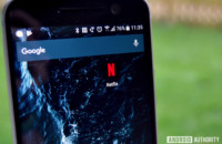 Netflix helped video streaming end piracy