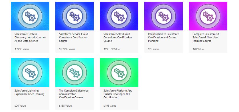 Salesforce Certification Training Bundle