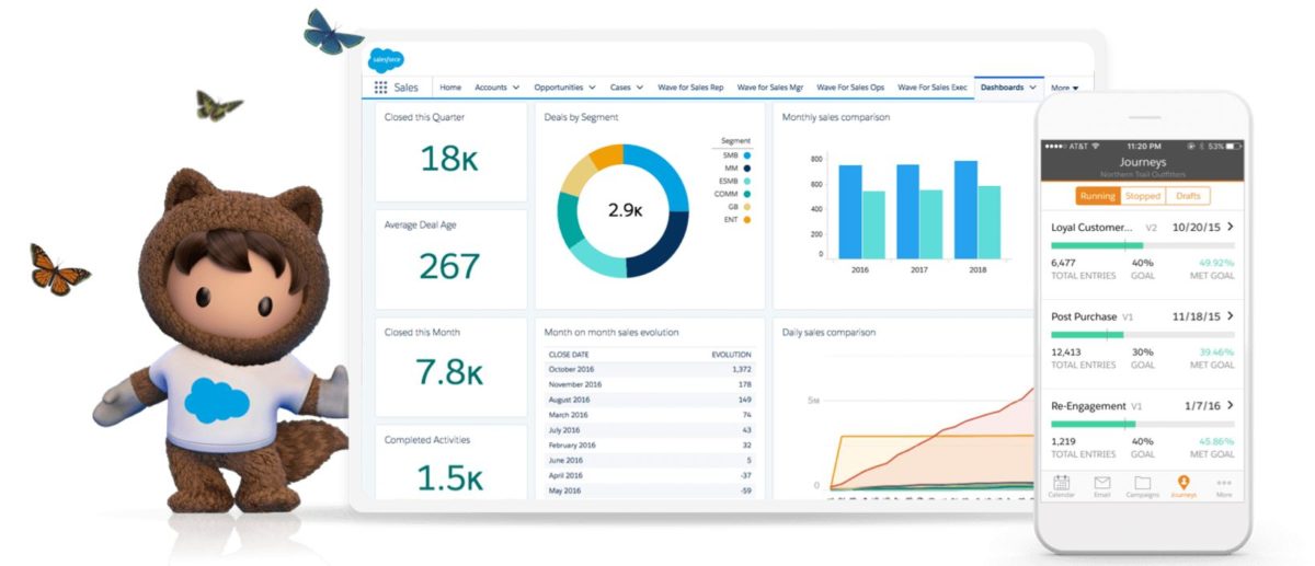 Salesforce interface