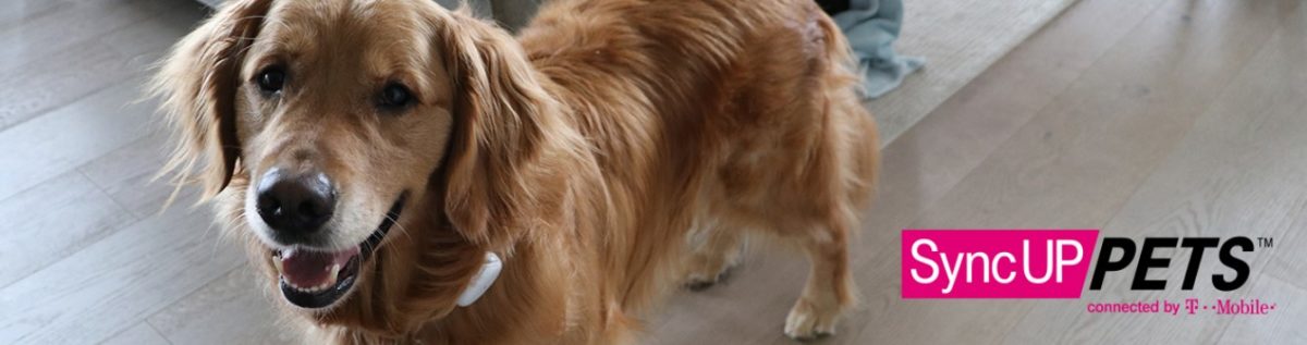 syncup pets tracker